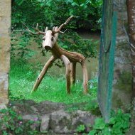 Le cervidé après le brame