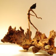 La naissance de Vénus