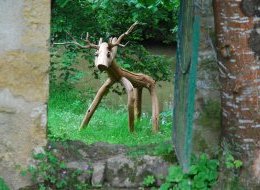 Animaux