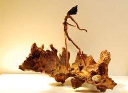 Détournement de formes naturelles