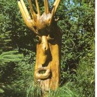 Arbre sorcier