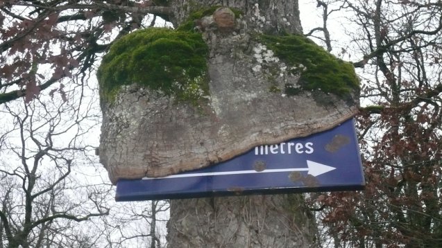 Installations sans conséquence
