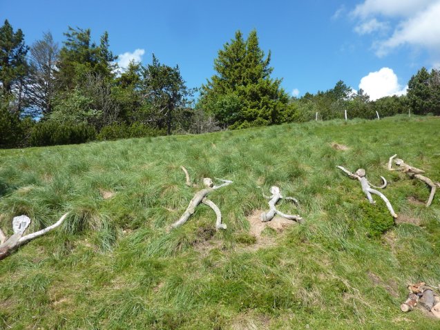Couchés dans l'herbe